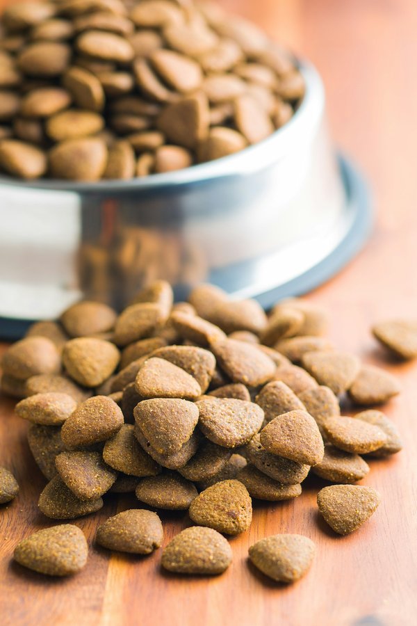 Découvrez la croquette française aux insectes écologiques